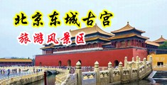 操日本姑娘大黑逼中国北京-东城古宫旅游风景区